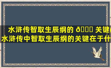 水浒传智取生辰纲的 💐 关键(水浒传中智取生辰纲的关键在于什么 🌸 )